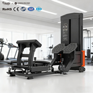DISSOLVED Strength Machine Leg Extension Curl Hip Lift