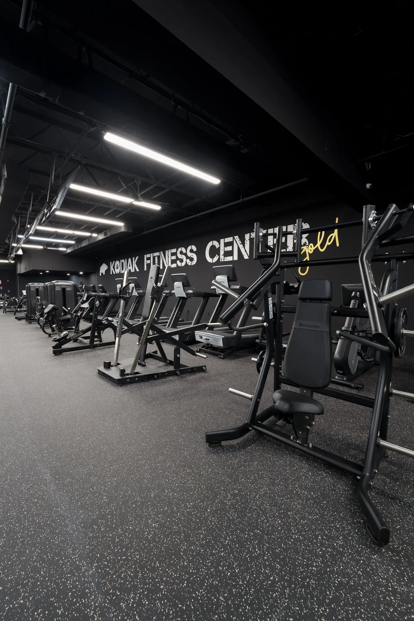 Kodiak Gold Commercial Gym fitted with Skelcore Strength Equipment